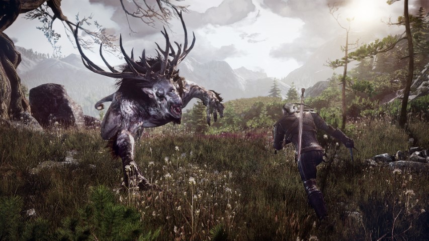 The Witcher III Wild Hunt image 5