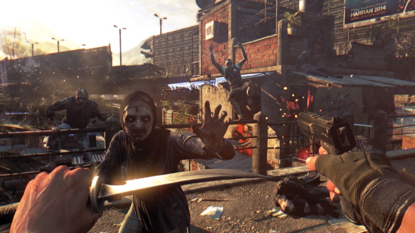 Dying Light The Following image 6
