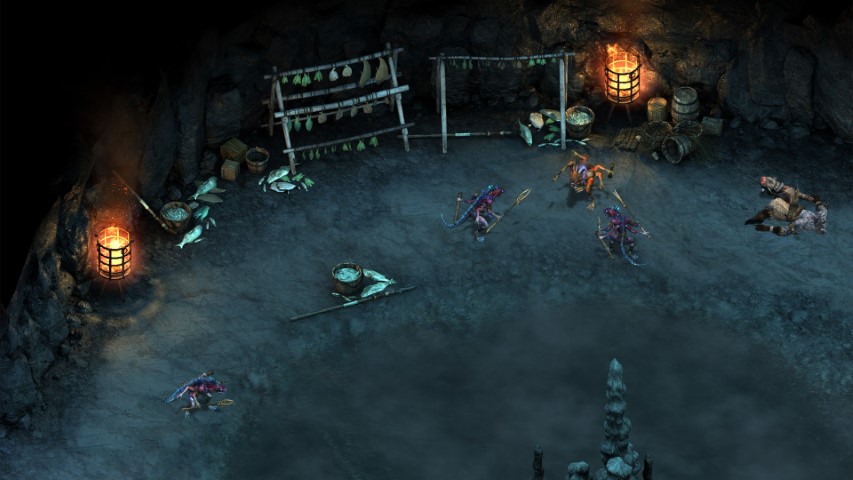 Pillars of Eternity The White March Part II image 7