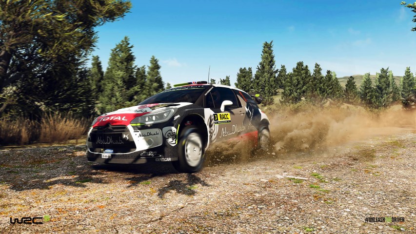 WRC 5 image 1