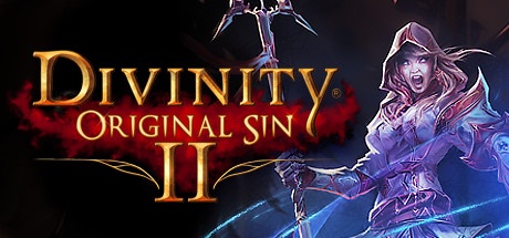 Divinity Original Sin 2 Giochi da scaricare gratis per PC